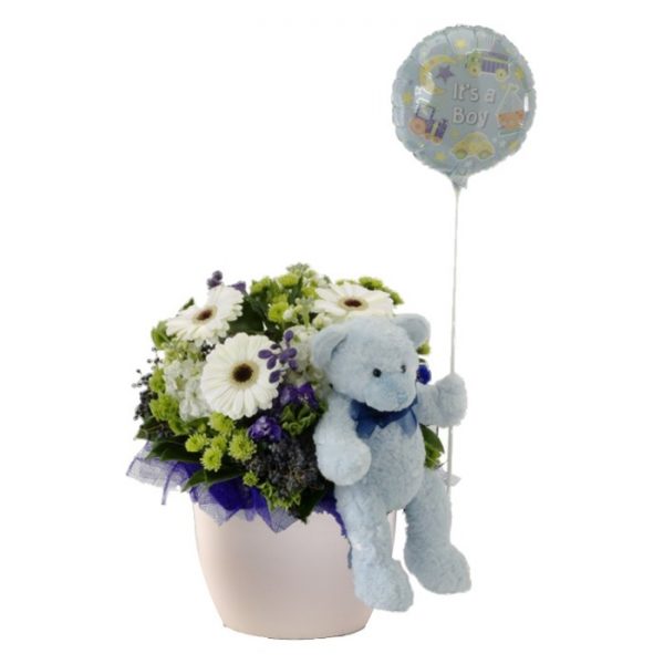 Blue, balloon flowers