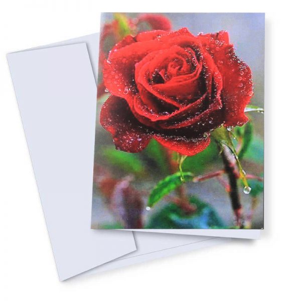 Love card "red rose"